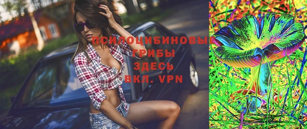 трава Карпинск