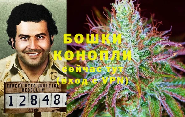 ALPHA-PVP Карталы