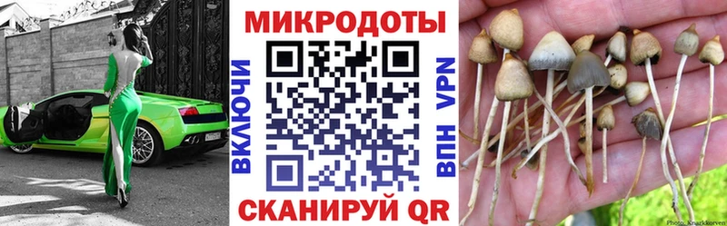дарк нет официальный сайт  Курганинск  Галлюциногенные грибы Cubensis 