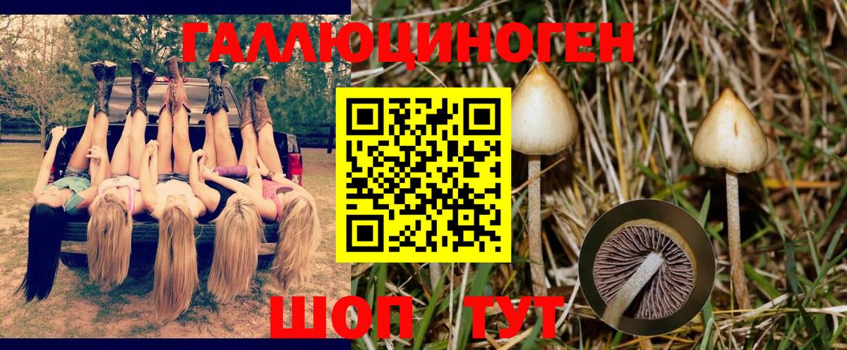 Галлюциногенные грибы MAGIC MUSHROOMS Курганинск