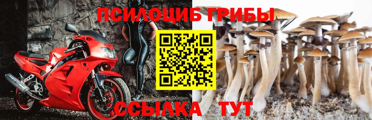 Курганинск  Псилоцибиновые грибы Psilocybine cubensis  Галлюциногенные грибы прущие грибы  Вход с VPN 